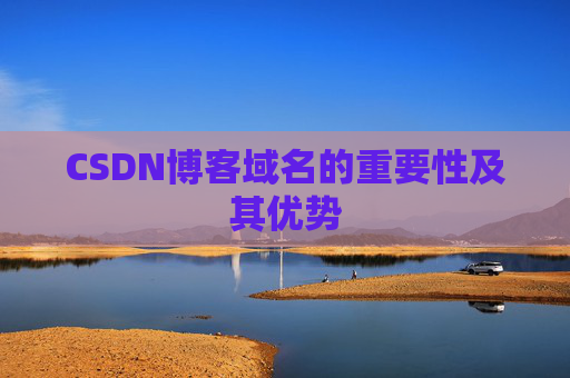CSDN博客域名的重要性及其优势